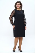 Alani Collection 2253