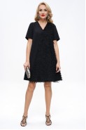 Alani Collection 2275