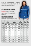 VIZAVI 820 василек