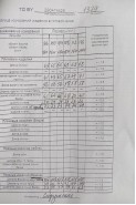 TAIER 1379 шоколад