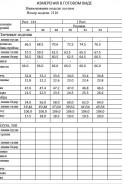 Dilana VIP 2116 серый