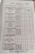 TAIER 1482 ягодный