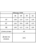 Verita 2500